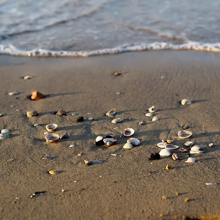 Apartmán Spend Your In An Amazing Bibione